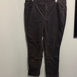 Talbots Women's Dark Brown Straight Leg Pants